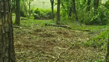 Land Clearing & Demolition for Whaley Land Development in Athens, TN