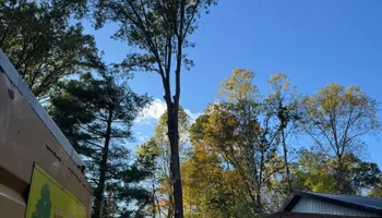 Tree Removal for Merriman's Tree Service in Nineveh,  IN