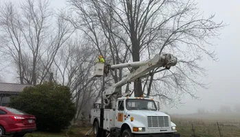 Tree Removal for Ross Family Tree Service LLC  in Hohenwald, TN