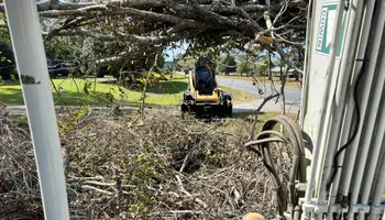 Residential & Commercial Excavation for Conway Land Management in Chatom, AL