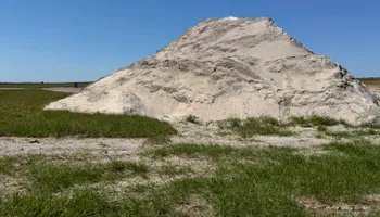 Tree Removal for CFS Services in Fort Meade, FL