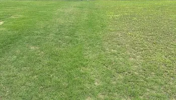 Pricing for Kathleen's Lawn & Shrub Care in Augusta, GA