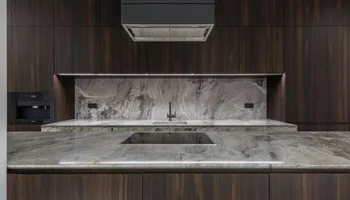Kitchen Renovation for Precision Craft Granite & Marble in Tampa, FL