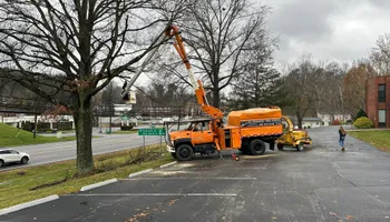 Tree Removal for KJ’s Tree Service & More LLC in Fraziers Bottom, WV