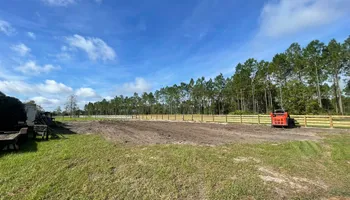 Tree Removal for Top Notch Tree Experts in Orange Park, FL