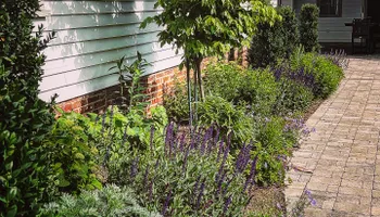 Erosion Control / Water Management for Christina King Landscape Design in West Raleigh, NC