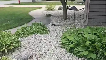 Commercial Landscaping for Trim Seasonal Services in Milwaukee, WI