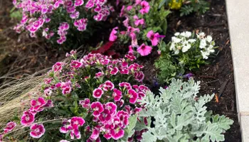 Commercial Maintenance/Installs for Urban Lawn & Landscape in Oklahoma City, OK