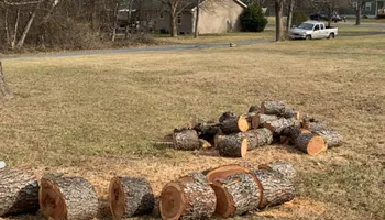 Tree Removal for Gray's Tree Service  in Shenandoah County, VA
