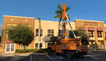 Tree Trimming for Sam's Tree Service in Miami Beach,  FL