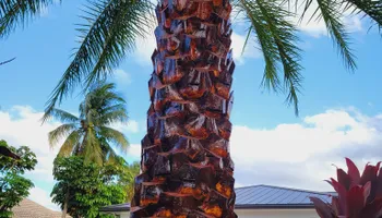 Tree Trimming & Removal for L & J Palm Tree & Lawn Care Services in Jupiter, FL