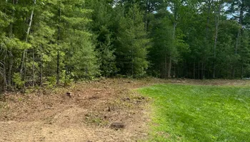 Tree Removal for Leaf and Limb in Townsend, MA