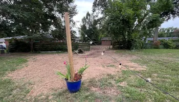 Tree Removal for JC Land and Tree Service in Kilgore, TX