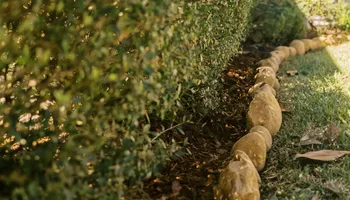 Landscape Lighting for Pro Designs Landscaping in Jacksonville, FL