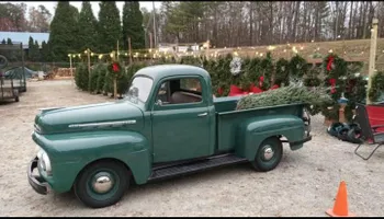 Pinestraw for BAM Another Pinestraw Lot in Flowery Branch, GA