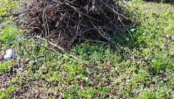 Mowing for Land Legends Landscapes LLC in Kings Mountain, NC