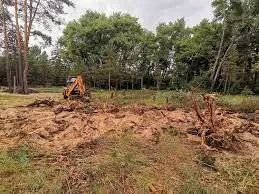 Land Clearing for Dirty South Land Management  in Robertsdale, AL