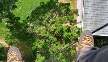 Tree Removal for Highlands Tree Service LLC in Avon Park, FL