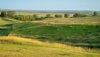 Wildlife & Hunting Property Management for Bluffside Forestry in Cedar Rapids, IA