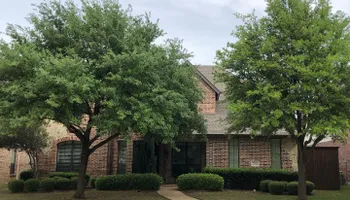 Tree Trimming for Twin Oak Solutions in Carrollton, TX
