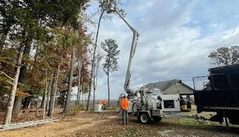 Tree Removal for Ross Family Tree Service LLC  in Hohenwald, TN