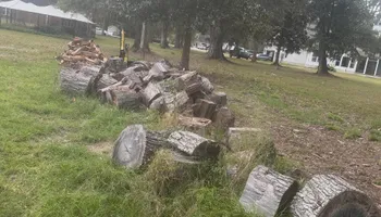 Tree Removal for Hawkins Tree Service & Land Management in Richmond Hill, GA