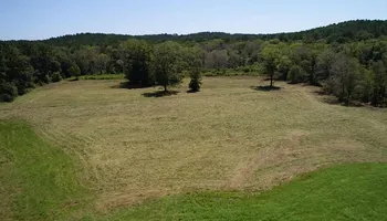 Land Clearing & Demolition for Central Alabama Site Works in Selma, AL