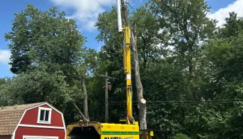 Tree Removal for SMITHs Tree Service in Columbus, IN