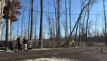 Tree Removal for Ross Family Tree Service LLC  in Hohenwald, TN