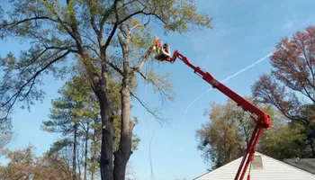 Tree Removal for Smith Tree Experts in Palmyra, VA