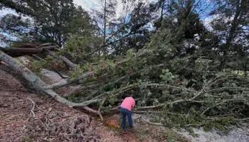 Fence Installation for Longhorn Fence & Land Development in Webster, TX