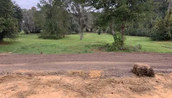 Land Clearing & Demolition for All American Excavating Inc in Brooksville,  FL
