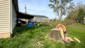 Tree Removal for Kadin’s Tree Service in North Vernon, IN