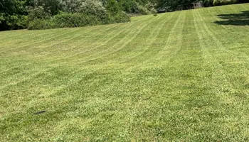 Lawn Maintenance for LC Lawn Care & Landscaping in Canon, GA
