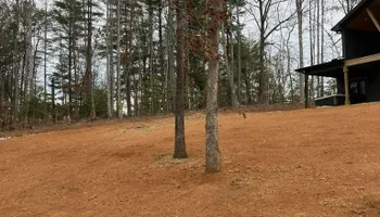 Land Clearing for Gibson Grade Works in Towns County, GA