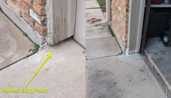 Residential Wildlife Control for Topper's Wildlife Removal in Garland, TX