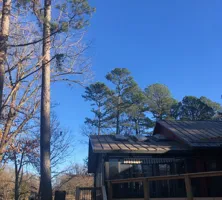 Tree Removal for Dale's Tree Service in Springdale, AR