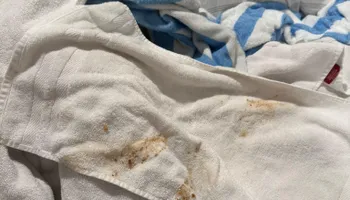 Residential Cleaning for A+ Cleaning and Services LLC in Deep Creek Lake, MD 