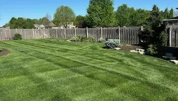 Fertilization Treatments for Chief Lawn Care in Lee's Summit, MO