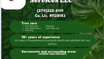 Tree Removal for Sammy's Tree Services in Sacramento, CA
