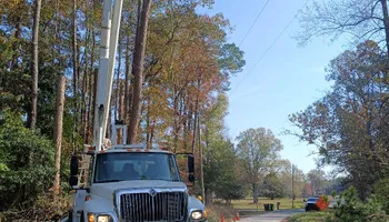 Tree Removal for Kingdom Riderz Hauling And Tree Service in Tar Heel, NC