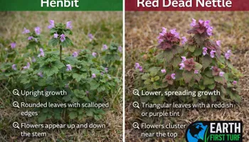 Soil Tests for Earth First Turf, LLC in Cherokee County, GA