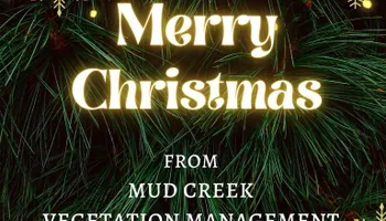 Land Clearing for Mud Creek Vegetation Management in Russellville, AL