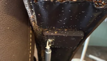 Bed Bug Heating Service for Platinum Pest Control in Spring Hill, FL