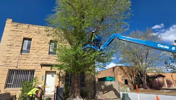 Mowing for Double A Home & Lawn Services in Montrose, CO