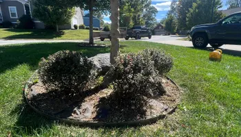 Mowing for SkyLimit LawnCare in Asheville, NC