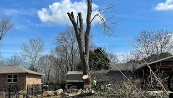 Tree Removal for Tree Fellers in Sumner County, TN