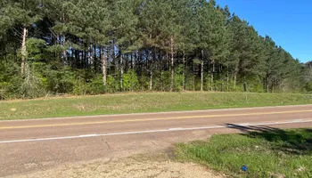 Land Clearing for South Mississippi Land Management LLC in Columbia, Mississippi