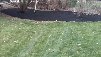 Tree Removal for W D Giampa Lawns and Landscape Inc. in Independent Hill, VA