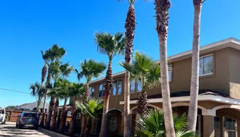 Tree Removal for Johnnys Pro Cutters in Corpus Christi, TX
